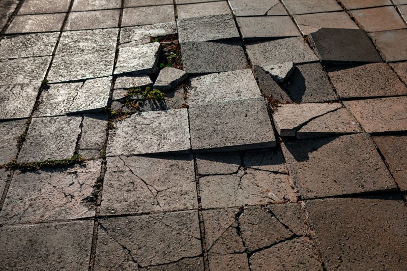 Paver Repair Process