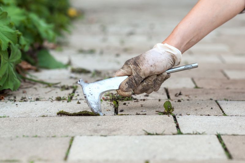 Seasonal Paver Maintenance