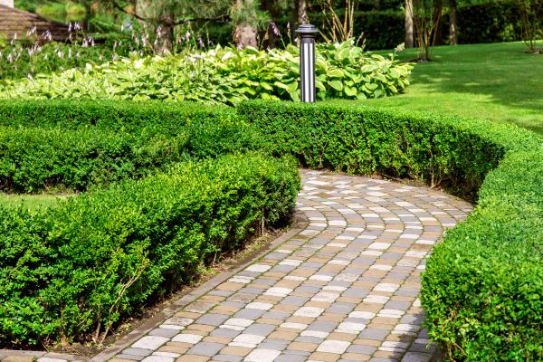 Cost of Paved Landscaping in Englewood