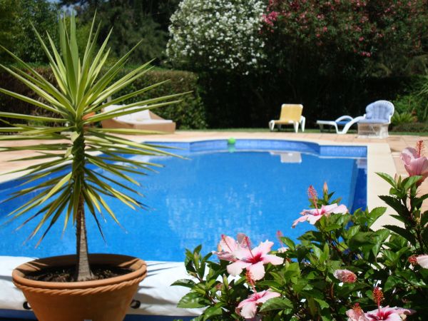 Cost of Pool Terrace Renovation in Englewood