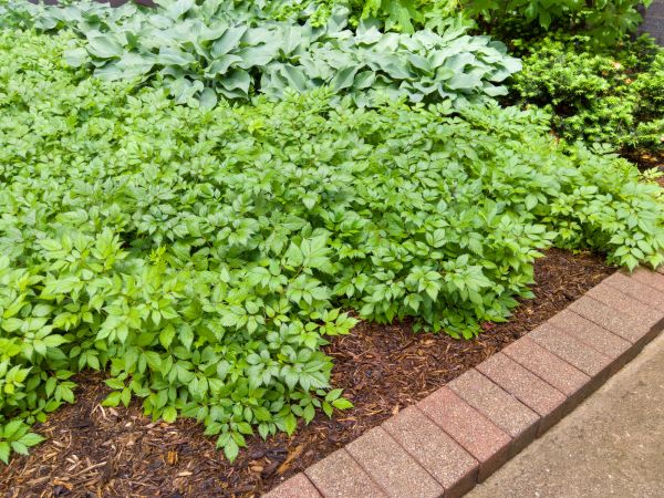 Cost of Brick Hardscaping in Englewood